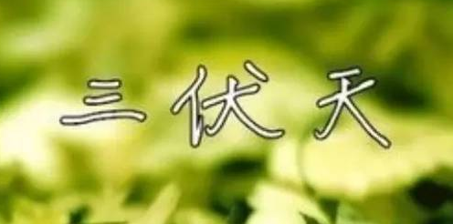三伏天飲食有哪些禁忌？微電腦治療儀哪個(gè)牌子好？