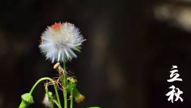 立秋后因該注意怎么養(yǎng)生？理療儀對高血壓患者有啥效果？