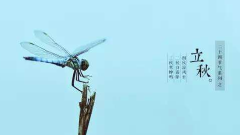 立秋后的養(yǎng)生攻略！家用理療儀的功效
