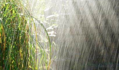 如何健康度過多雨季節(jié)？陜西千秋電子治療儀