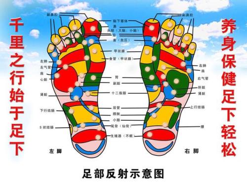 玄鹿中頻微電腦治療儀手足水針?lè)瓷浏煼?></a></div>
						<div   id=