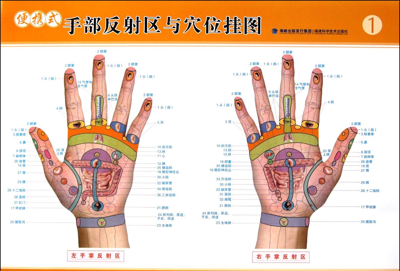 經(jīng)絡(luò)多久疏通一次好？